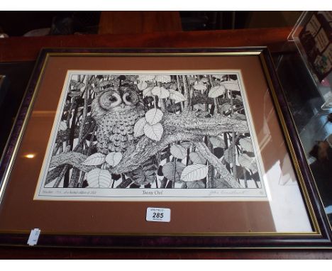 A Limited Edition Edition Print of Tawny Owl After John Broadhurst