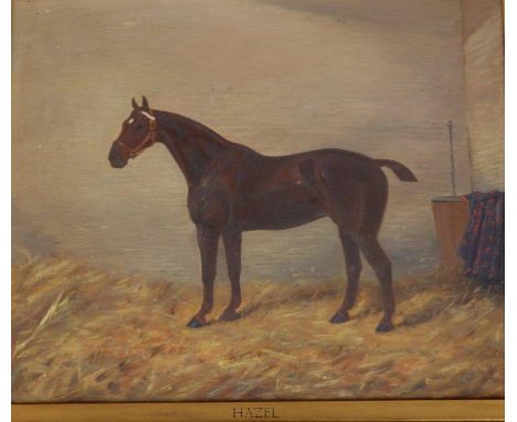 Late 19th/Early 20thC British School – oil on canvas – Equestrian portrait, the racehorse 'Hazel' in her stable, 16” x 20.5”