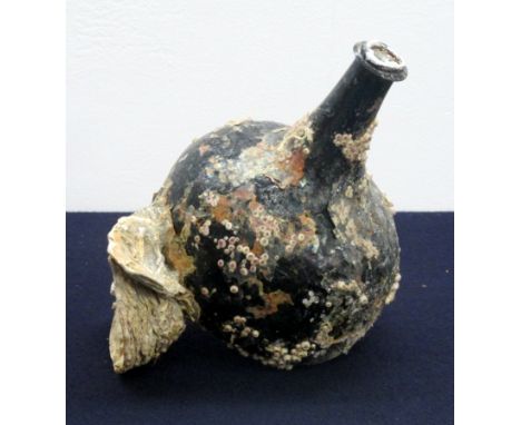 An extremely rare Black Glass 'Onion' bottle with deep punt in salvaged condition, encrusted with barnacles and shells, remai