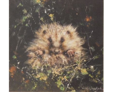 David Shepherd (1931-2017). Baby hedgehog, artist signed limited edition print, with watermark, 15cm x 15cm.