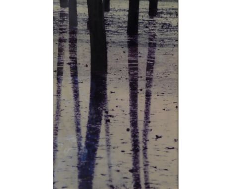 After Pinot dal Gal. Tree Reflection, photographic print, signed and dated (19)77, F.L. Dinsdale, Fine Art Dealers label vers