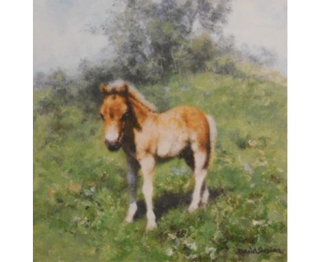 David Shepherd (1931-2017). Baby Tawny, artist signed limited edition print, 654/1500, watermarked, 15cm x 16cm, another Zigg