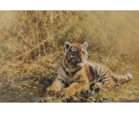 David Shepherd (1931-2017). Teenage Tiger, artist signed print, 21cm x 29cm.