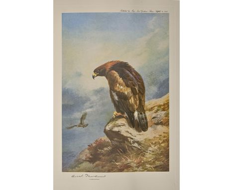 Natural History, Ornithology. Thorburn (Archibald, F.Z.S.), Bird of Prey: A facsimile of the 1919 edition with a new foreword