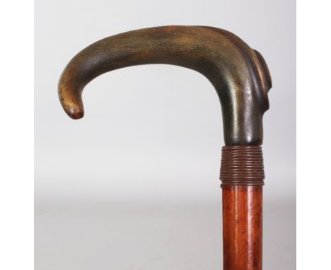 A HORN HANDLED MALACCA WALKING STICK, with a wire collar, the horn possibly rhinoceros horn, 33.5in long, the handle 4.25in w