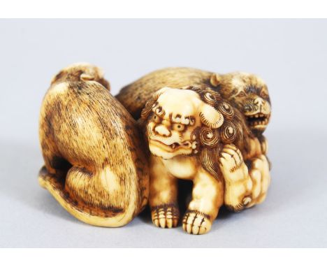 A JAPANESE EDO PERIOD CARVED IVORY NETSUKE OF A SHI SHI, TIGER &amp; DOG BY TOMONOBU, the three animals at head to tail posit