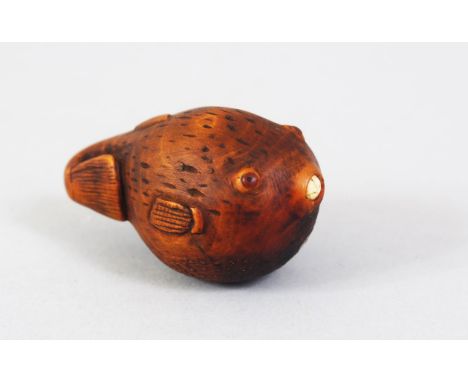 A JAPANESE MEIJI PERIOD CARVED WOODEN NETSUKE OF A FUGU FISH, the puffer fish with ivory inlaid mouth, amber inlaid eyes, him