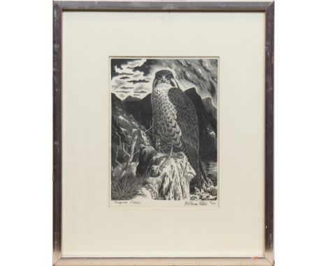 * G W LENNOX PATERSON ARE (SCOTTISH 1915 - 2006),PEREGRINE FALCONetching, signed in pencil, titled and numbered 2/10020cm x 1