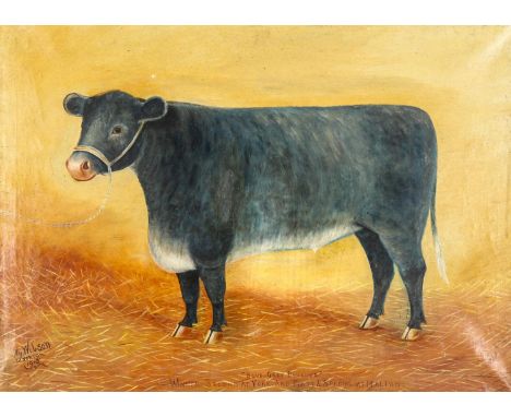 Henry Wilson, oil on canvas, naive portrait of blue-grey bullock, signed and dated 1913, 50cm x 68cm, unframedGood original c