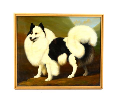 20th century British School, after the Antique, oil on board, portrait of a dog, unsigned, 50cm x 60cm, framedGood condition 