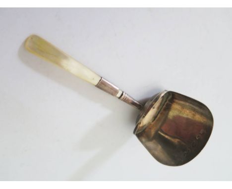 A George III Silver and Mother of Pearl Handled Caddy Spoon, Birmingham 1814, J.W.