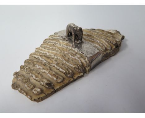 A Silver Mounted Fossilised Mammoth or Elephant Tooth decorated with elephant and engraved Colonel F.J.B. Priestley and with 
