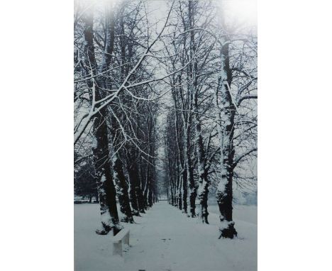 Mark Beech "Snow Covered Trees" Signed Print, Signed in pencil, 105cm x 71.5cm