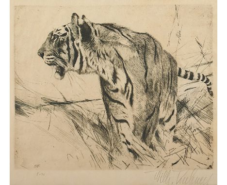 KUHNERT, Wilhelm (1865-1926), "Tiger", Original-Radierung, 14,5 x 17, handsigniert, 1921, läs., R. 