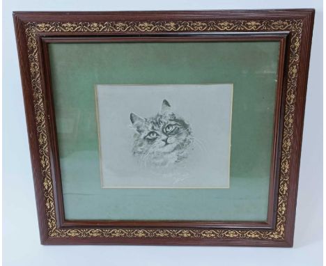 Muriel Hunt, 20th century, portrait of a cat, watercolour and gouache of a cat, 20cm x 23.5cm 