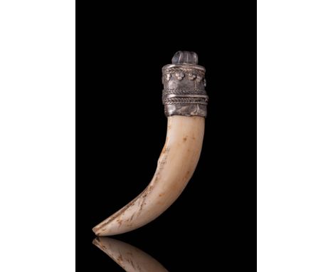 Ca. AD 800 - 1100. A pendant comprising a boar tusk mounted in a silver cap decorated with alternating bands of herringbone b