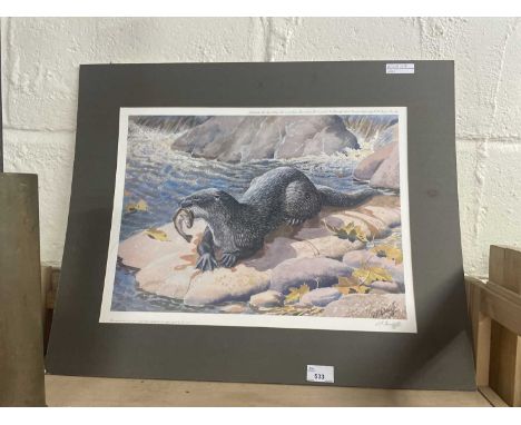 A reproduction print of an otter by C F Tunnicliffe signed in pencil, unframed