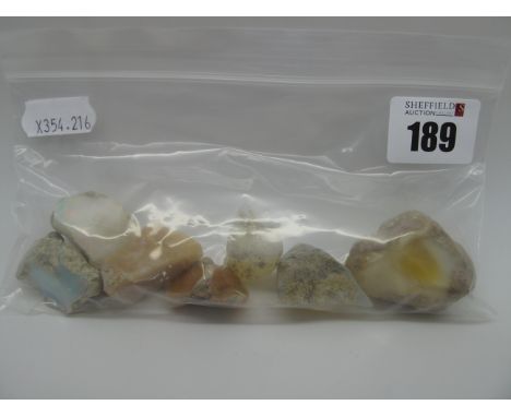 A Collection of Opal in Matrix Specimens, (largest approximately 44mm long). (7)
