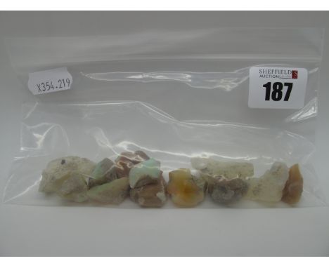 A Collection of Opal in Matrix Specimens. (12)