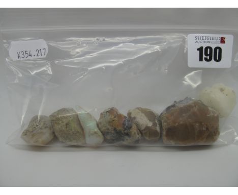 A Collection of Opal in Matrix Specimens, (largest approximately 44mm long). (7)