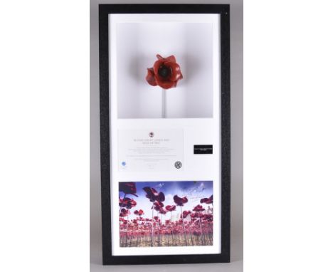 A Tower of London Ceramic Poppy by Paul Cummins, from the installation 'Blood Swept Lands and Seas of Red' 5th August - 11th 