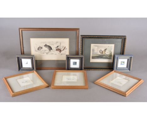 Three framed prints, including two 19th Century nature studies, a collection of miniature coloured etchings, and a modern pri
