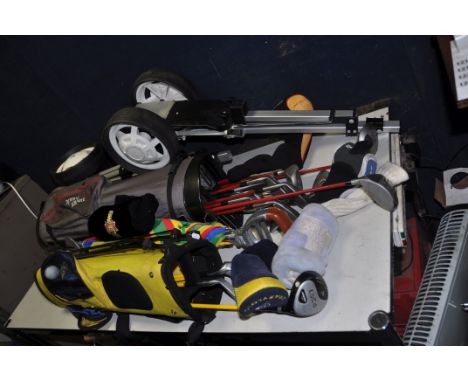 A TAYLOR MADE GOLFBAG containing six Pinseeker Professional Tour irons, Pinseeker 1,3,5 and 7 drivers, a Donnay Putter, anoth