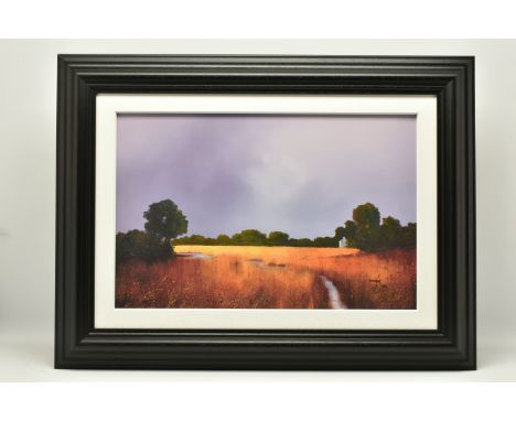 BARRY HILTON (BRITISH 1941) 'ENDURING LIGHT', a signed limited edition print on board, depicting a stream running through a g
