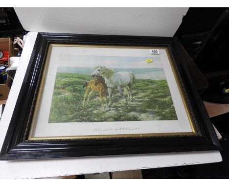 Framed Print - Mare and Foal 
