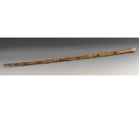 A late Victorian gentleman's silver-mounted hawthorn walking cane, wrythern moulded bulbous grip, 86.5cm long, Henry Howell &