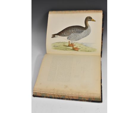 Ornithology - Morris (Beverley R.), British Game Birds and Wildfowl, Illustrated with Sixty Coloured Plates, first edition, G