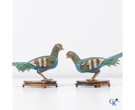 Asian Art: Chinese cloisonné. A pair of pheasants in finely crafted cloisonné. 20th century. | Rooster: 19 x 37 cm. (incl. ba