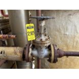 5 Manual Valves: 1 of 4“ 300 gate in special steel; 1 of 4” 150 gate in carbon steel; 1 of 6“ 150 g