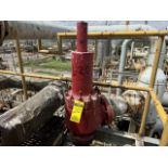 2 Safety valves DS-524 SV-5E300A 8“×6” 66 PSI; DS-524 SV-5E300B 6“×4” 69PSI. / 2 Válvulas de seguri