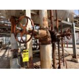 5 manual valves: 2 of 2“ 150 gate in carbon steel, 1 of 4” 300 gate in carbon steel, 1 of 10“ 150 g