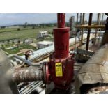 2 Safety valves DS-528 SV-5E01A 8“× 6” 66; PSI; DS-528 SV-5E01B 8“× 6” 69PSI. / 2 Válvulas de segur
