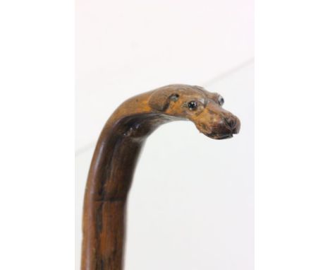 A 19th century walking stick with carved dog head handle with glass eyes .