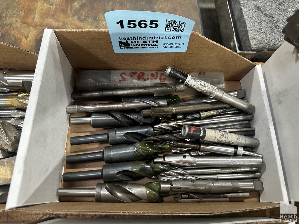 Lot 1565