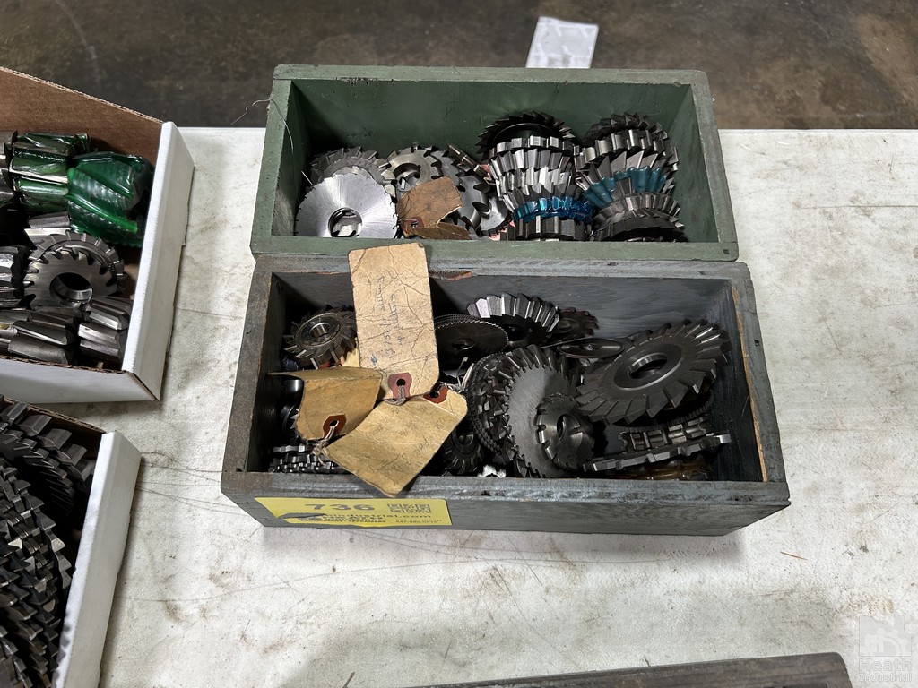 Lot 736