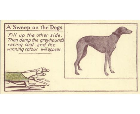 GREYHOUND RACING, A Sweep on the Dogs, used, VG