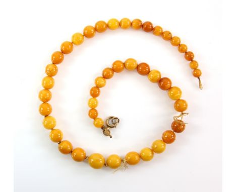 Amber necklace, graduated round beads, largest bead measuring 13mm in diameter, strung without knots, bolt ring clasp stamped