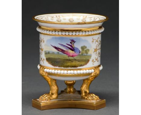 A Flight, Barr &amp; Barr vase, c1820, painted in the manner of 'Dr' George Davis with an exotic bird between formal gilding 