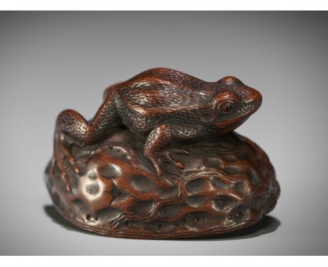 SUKEKUNI: A SUPERB WOOD NETSUKE OF A FROG ON HALF WALNUTBy Sukekuni, signed Sukekuni 亮国Japan, Takayama, Hida province, mid-19