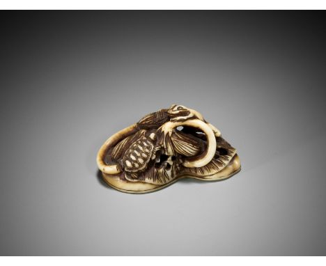 A WALRUS TUSK INGYO (SEAL) NETSUKE OF A FROG AND TORTOISE ON A LOTUS LEAFIn the manner of Rensai, unsignedJapan, Tokyo, Asaku