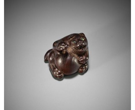 KOKEI: A FINE WOOD NETSUKE OF TANUKI HARA TSUZUMI  By Kokei, signed Kokei 虎溪Japan, Kuwana, Ise province, first half of 19th c