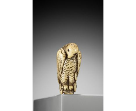 A RARE STAG ANTLER NETSUKE OF A PARROT ON PINE TREEUnsignedJapan, early 19th century, Edo period (1615-1868)Perched on a shor