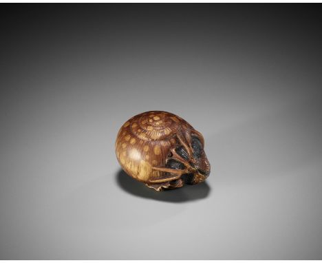 SHIGEMASA: A RARE STAINED WOOD NETSUKE OF A SNAILBy Shigemasa, signed Shigemasa 重正Japan, c. 1860Finely carved as a snail emer