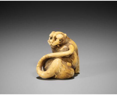 A SUPERB OSAKA SCHOOL IVORY NETSUKE OF A TIGERUnsigned Japan, Osaka, late 18th century, Edo period (1615-1868)Finely and amus