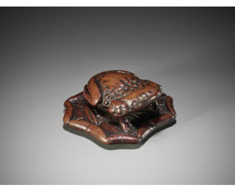 A LARGE AND UNUSUAL WOOD NETSUKE OF A TOAD ON A LOTUS LEAFUnsigned Japan, 18th century, Edo period (1615-1868)Boldly carved a