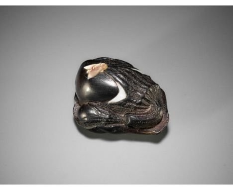 MINKO: AN INLAID EBONY WOOD NETSUKE OF A FLY ON ROTTING NASUBI  By a follower of Tanaka Juntoku Minko (1735-1816), signed Min